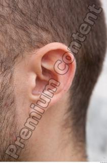 Ear texture of street references 410 0001